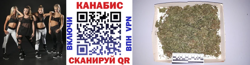 что такое   Каргополь  Канабис SATIVA & INDICA 